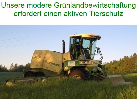 Dokumenten - Vorschau