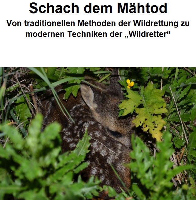 Dokumenten - Vorschau