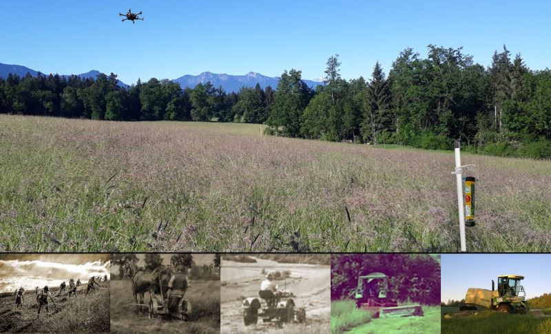 Die Mahd im Wandel der Zeit, Effiziente Methoden zur Kitzrettung