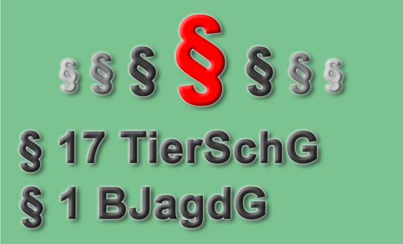 Wichtige Gesetze im Überblick